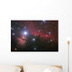 Nebular complex in Orion's Belt. Horse head, Flaming tree. Wall Mural