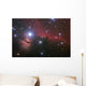 Nebular complex in Orion's Belt. Horse head, Flaming tree. Wall Mural