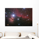 Nebular complex in Orion's Belt. Horse head, Flaming tree. Wall Mural