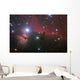 Nebular complex in Orion's Belt. Horse head, Flaming tree. Wall Mural