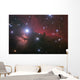 Nebular complex in Orion's Belt. Horse head, Flaming tree. Wall Mural