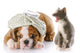 Dog and Cat Fight Wall Decal