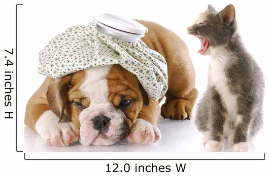 Dog and Cat Fight Wall Decal