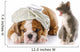 Dog and Cat Fight Wall Decal