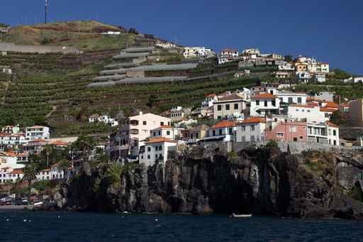 Madeira Wall Decal Design 1