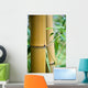 big bamboo Wall Mural