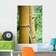 big bamboo Wall Mural