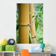 big bamboo Wall Mural