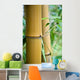 big bamboo Wall Mural