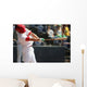 Swing Wall Mural