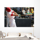 Swing Wall Mural