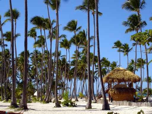 Bavaro Beach 3 Wall Decal
