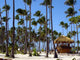 Bavaro Beach 3 Wall Decal