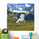 White Horse Run Gallop