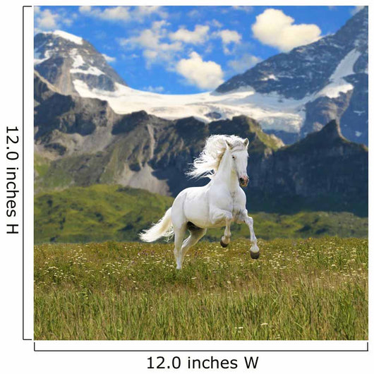 White Horse Run Gallop