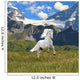 White Horse Run Gallop