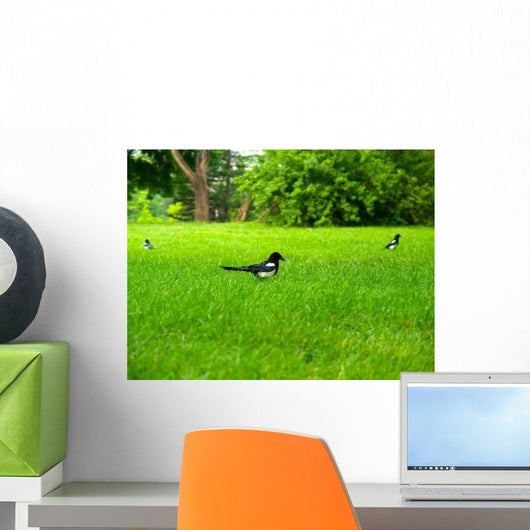 Magpie Wall Decal