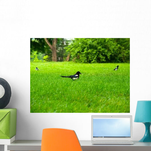 Magpie Wall Decal