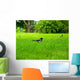 Magpie Wall Decal