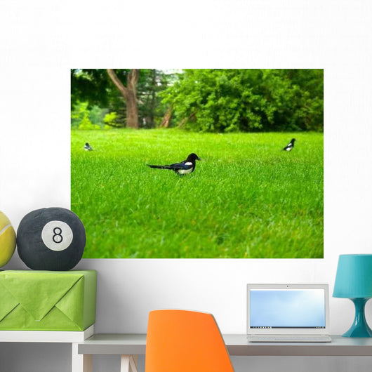 Magpie Wall Decal