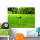 Magpie Wall Decal