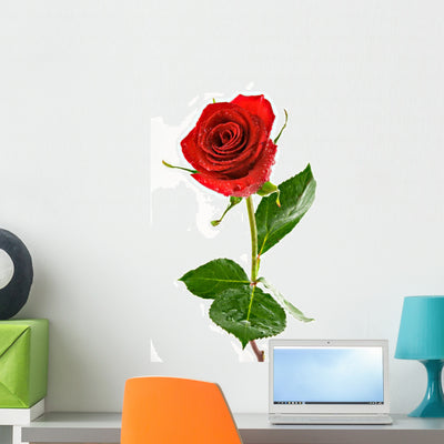 Red Valentine Rose with Wall Decal shown on a wall