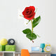 red valentine rose with dew Wall Decal