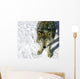 Gray Wolf Looking up at You Wall Mural