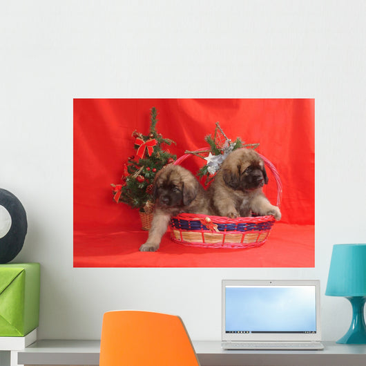 Leonberger Wall Mural