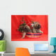 Leonberger Wall Mural