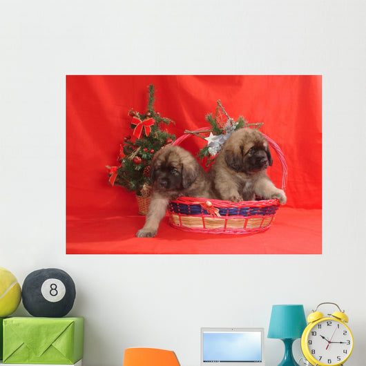 Leonberger Wall Mural