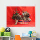 Leonberger Wall Mural