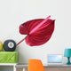 red anthurium Flower Wall Decal