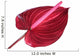 red anthurium Flower Wall Decal