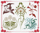 Treasures Historical Design Art-nouveau
