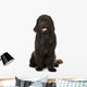 Newfoundland Wall Decal
