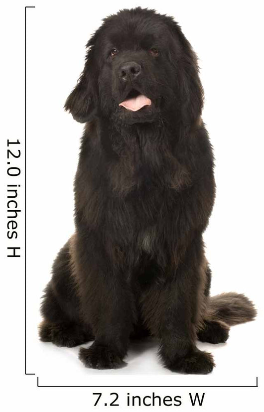 Newfoundland Wall Decal