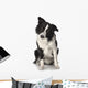 Border Collie Wall Decal
