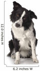Border Collie Wall Decal