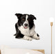 Border Collie Wall Decal Design 1