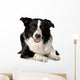 Border Collie Wall Decal Design 1