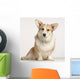 cardigan welsh corgi Wall Mural