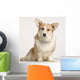 cardigan welsh corgi Wall Mural