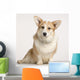 cardigan welsh corgi Wall Mural