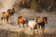 Wild Horses Running Wall Decal