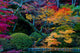Japanese autumn Wall Mural