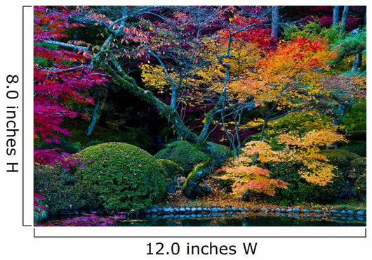 Japanese autumn Wall Mural