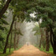 Man Fog Wall Decal