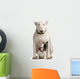 bull terrier and French bulldog Wall Decal