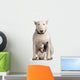 bull terrier and French bulldog Wall Decal
